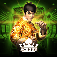 ACE333